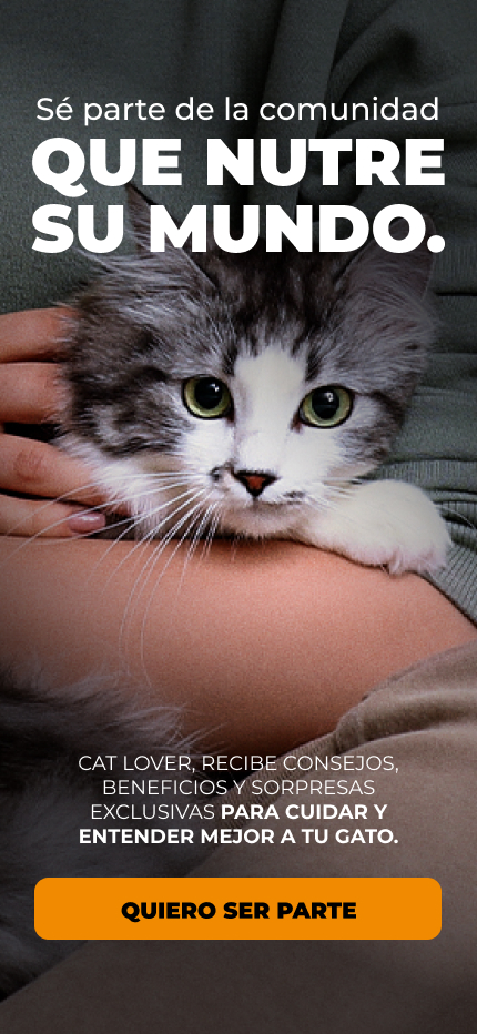 BNG - NUTRISS COMUNIDAD 2026